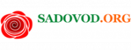 Кэшбэк Sadovod